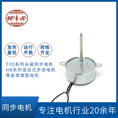 Synchronous motor TYD42
